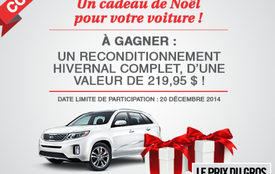 Un cadeau de Noël pour votre voiture!